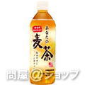 【送料無料】サンガリア　あなたの麦茶 500ml×24本